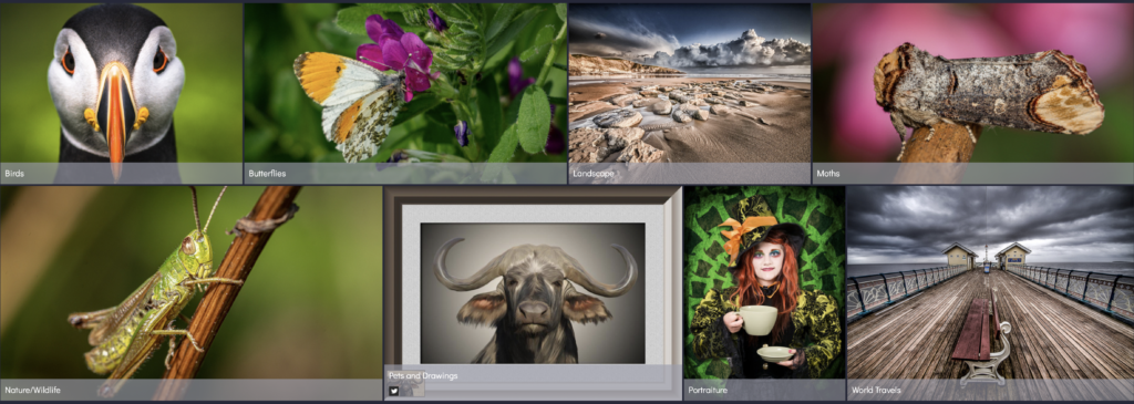 selection of gallery nature images