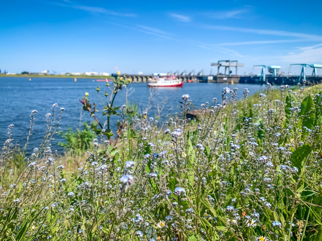 Cardiff bay
