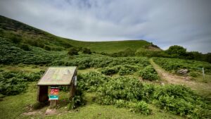 Offas Dyke trail